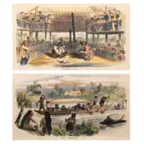 Two ‘Sketches in Manilla, a) Cock-Fighting at Manilla b) Manilla: A Banca Party, hand-coloured woodblock engraving