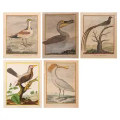 Pierre Sonnerat, Set of 5 prints