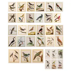 François Nicolas Martinet, A set of 33, hand-colored engravings