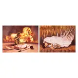 Cyril Turao, a) Lucretia
b) Invigoration, a) oil on canvas b) acrylic on canvas