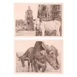 Han van Hagen, a) Sta. Maria Church in Ilocos
b) Carabao, a) etching, 4/90 b) etching, 3/90