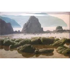 Amado Hidalgo, Untitled, oil on canvas