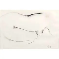 Augusto Albor, Nude, charcoal on paper