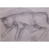 Romulo Olazo, Cat Series, graphite on paper