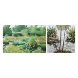 Untitled by a) Carlo Magno<br & > b) A. Gonzales, <p>a) Carlo Magno<br />Flower Garden<br />signed (, sold Dec 2021