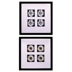 Flowers <br & >, Untitled, <p>Flowers<br />print<br />with frame: 17 3/4" x 1