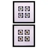 Flowers <br & >, Untitled, <p>Flowers<br />print<br />with frame: 17 3/4" x 1