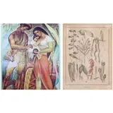 b) Botanical Print a) R. V. Mabini, Untitled, <p>a) R. V. Mabini<br />Family<br />print<br />46&