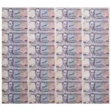 Philippine 100 Peso Bills Specimen, Untitled, <p>Philippine 100 Peso Bills Specimen<br />1980s<b