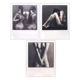 Wig Tysmans, Nude I, II & III, photograph