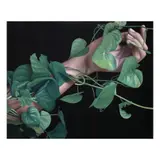 Bryan Teves, Untitled, oil on canvas