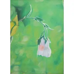 Andy Orencio, Untitled, oil pastel on paper