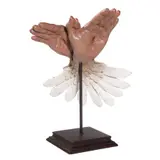 Alfredo Esquillo, Jr., Dove, fiberglass resin, edition