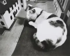 Vito Acconci, No one in the Plaza, 1994, Gelatinesilberabzug