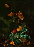 Elias van den Broeck, Waldbodenstillleben mit Schmetterlingen und Frosch, Öl auf Holz