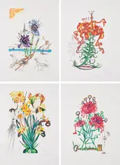 Salvador Dalí, Surrealistic Flowers, 1972, Serie von 15 Radierungen. Jeweils: Farbradierung auf Heliogravure auf Arches (Wasserzeichen)