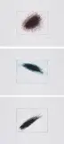 Arnulf Rainer, Kosmos