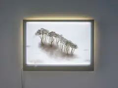 Bong-Chae Son, Migrants (014), 2011, Öl auf fünf Plexiglasscheiben in Objektkasten mit LED-Beleuchtung, Kabel und Stecker