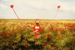 Cornelia Schleime, Ohne Titel, 1999, Fotografie, übermalt, auf AGFA-Papier