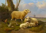 Eugène Verboeckhoven, Weidelandschaft mit Schafen