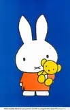 Dick Bruna, Pampers Nijntje (Miffy with teddy bear)