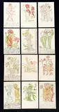 Walter Crane, Flora's Feast A Masque of Flowers, poster