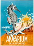 Initials Jz, Danmarks Akvarium Charlottenlund, poster