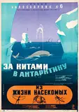 Yakub Ruvlevsky, Movie: "Whalespotting in Antarctica", 1948, poster