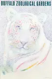 Milton Glaser, Buffalo Zoological Gardens (white tiger), 1989, poster