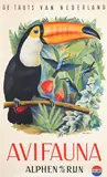 Guust Hens, Avifauna Alphen a/d Rijn Holland (toucan), 1951, poster
