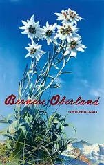 Albert Steiner, Oberland Bernois Suisse, poster