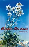 Albert Steiner, Oberland Bernois Suisse, poster