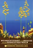 Ottomar C.J. Anton, HAPAG Weihnachtsfahrt nach Madeira und den Kanarischen Inseln, 1933, poster