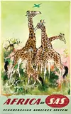 Otto Nielsen, SAS Africa (giraffes)