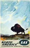 Otto Nielsen, SAS North America (bison)