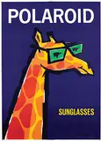 Karel Verbruggen, Polaroid Sunglasses (giraffe), poster