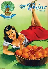 Gian Rosa, Flli. Perino Torino, poster