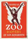 L. Geurts, Visitez le ZOO D'Anvers (young chimpanzee), poster