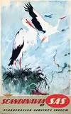 Otto Nielsen, SAS Scandinavia (storks)