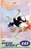Otto Nielsen, SAS South Africa (ostriches)