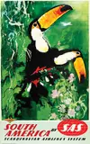 Otto Nielsen, SAS South America (toucans)