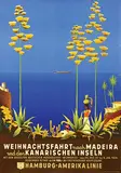 Ottomar C.J. Anton, HAPAG Weihnachtsfahrt nach Madeira und den Kanarischen Inseln, 1933, poster