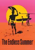 John van Hamersveld, Movie: "The Endless Summer", 2013, poster