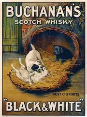 Maud Earl, Buchanan's Scotch Whisky Black & White, poster