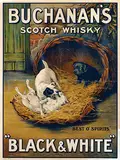 Maud Earl, Buchanan's Scotch Whisky Black & White, poster