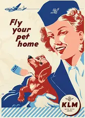 Palo, KLM Fly your pet home, poster, silkscreen