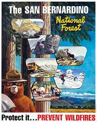 Rudolph Wendelin, The San Bernardino National Forest, poster
