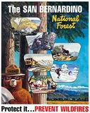 Rudolph Wendelin, The San Bernardino National Forest, poster