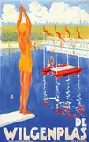J. de Ruijter, De Wilgenplas, poster