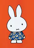 Hendrik Magdalenus (Dick) Bruna, Without text (Nijntje)